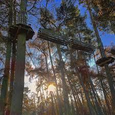 Go Ape Woburn